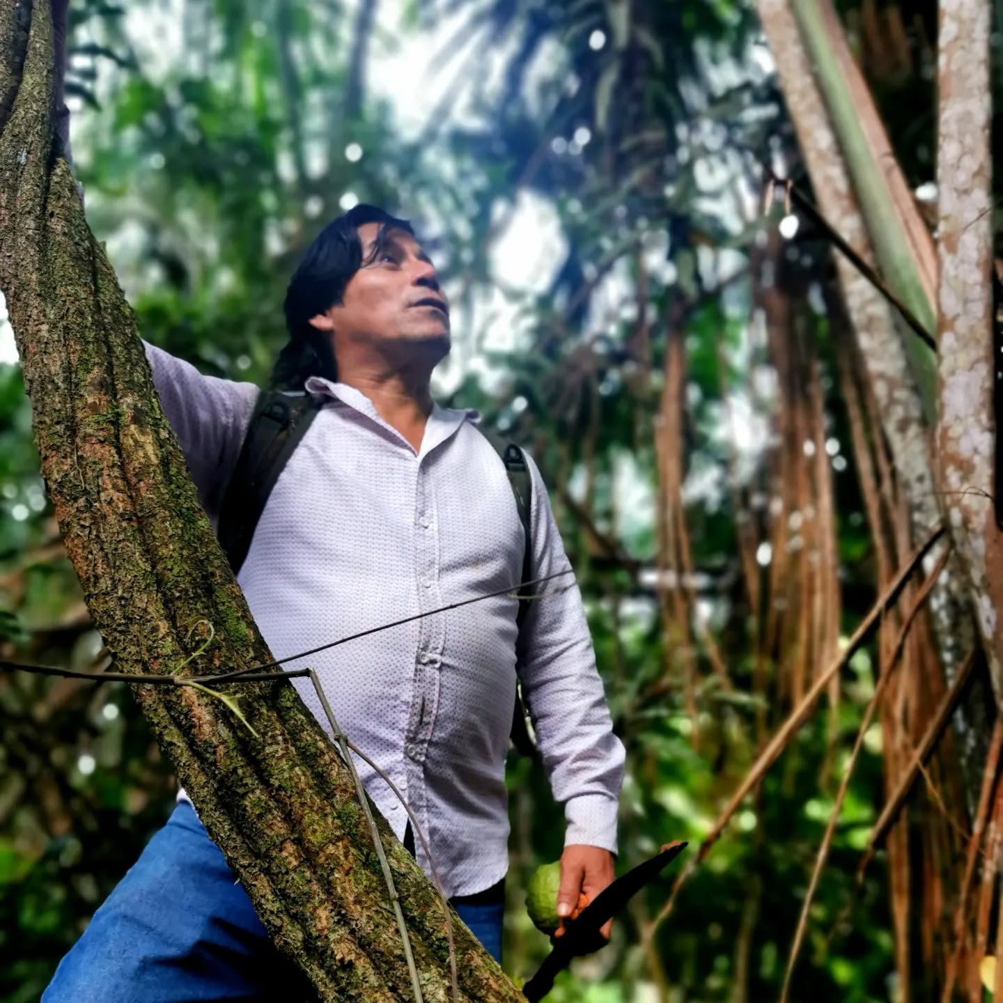 Don Guido took us out on a nice walk in the junglw and showed us some beautiful Ayahuasca vines.
#ayahuasca #planttour #shamanism #healing #nostress #lalunadelamazonas