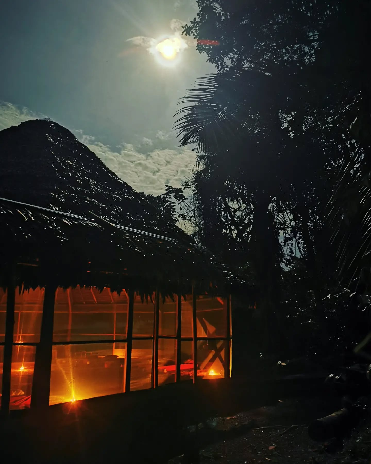 ¡Salud maestra divina! 🌝🌱
#ayahuasca #fullmoon #ceremony