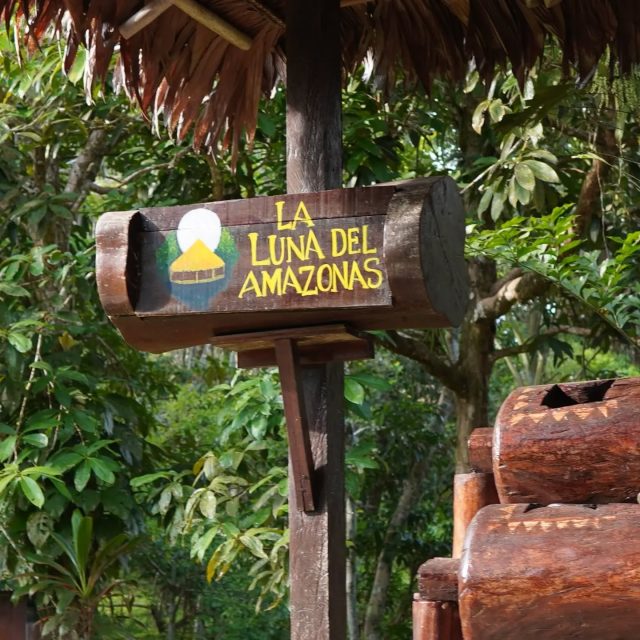 "We would have to admit that the basic philosophy of the Western scientific worldview is seriously wrong and that in many ways shamans from illiterate cultures and ancient cultures have had a more adequate understanding of reality than we do.
We have learned a lot about the world of matter, but in terms of basic metaphysical understanding of reality, Western science went astray."
- Stanislav Grof, M. D.