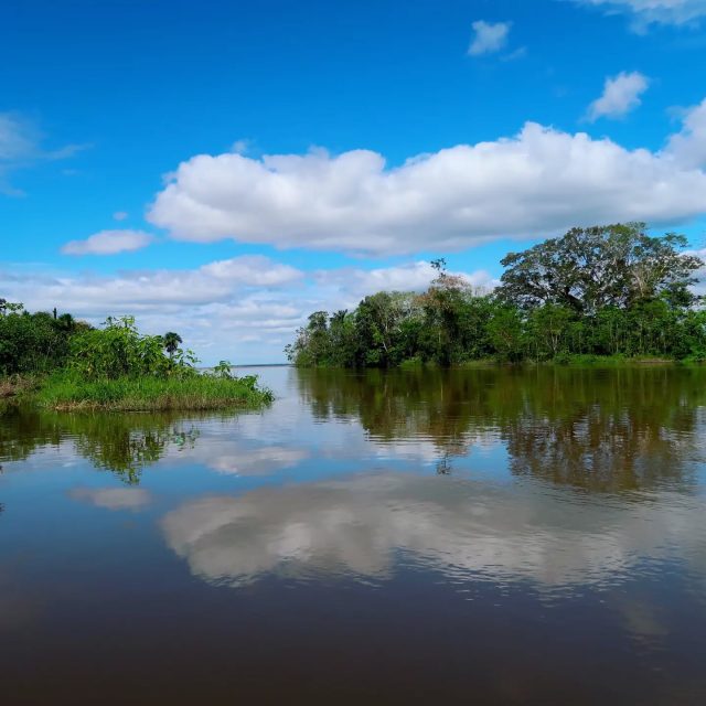 Can ayahuasca increase well-being and decrease problematic alcohol use? 
In recent years, a number of studies have demonstrated the therapeutic potential of psychoactive plants, such as ayahuasca.
Recent findings from an open and controlled study on ayahuasca demonstrated that a single dose of ayahuasca has antidepressant and anxiolytic effects when administered to patients with major depression.
https://www.iceers.org/ayahuasca-increase-well-being-decrease-alcohol-use/
The picture was taken close to our center on the Amazon river ❤️🌱