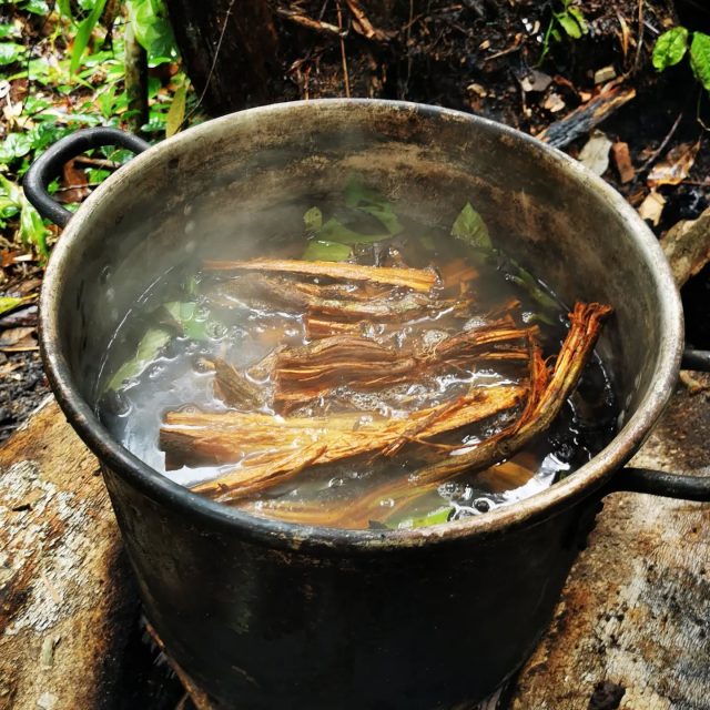 Ayahuasca can help people to accept death and to alleviate the pain of losing a loved one. This is the conclusion of a study, published in Omega – Journal of Death and Dying.
http://journals.sagepub.com/doi/abs/10.1177/0030222817710879?journalCode=omea&
The study aimed to explore the potential effects of ayahuasca on grief. They compared 30 people who had taken ayahuasca with 30 people who had attended peer-support groups, measuring level of grief and experiential avoidance. 
They also examined themes in participant responses to an open-ended question regarding their experiences with ayahuasca. 
The ayahuasca group presented a lower level of grief in the Present Feelings Scale of Texas Revised Inventory of Grief, showing benefits in some psychological and interpersonal dimensions. 
Qualitative responses described experiences of emotional release, biographical memories, and experiences of contact with the deceased. 
Additionally, some benefits were identified regarding the ayahuasca experiences.
These results provide preliminary data about the potential of ayahuasca as a therapeutic tool in treatments for grief.