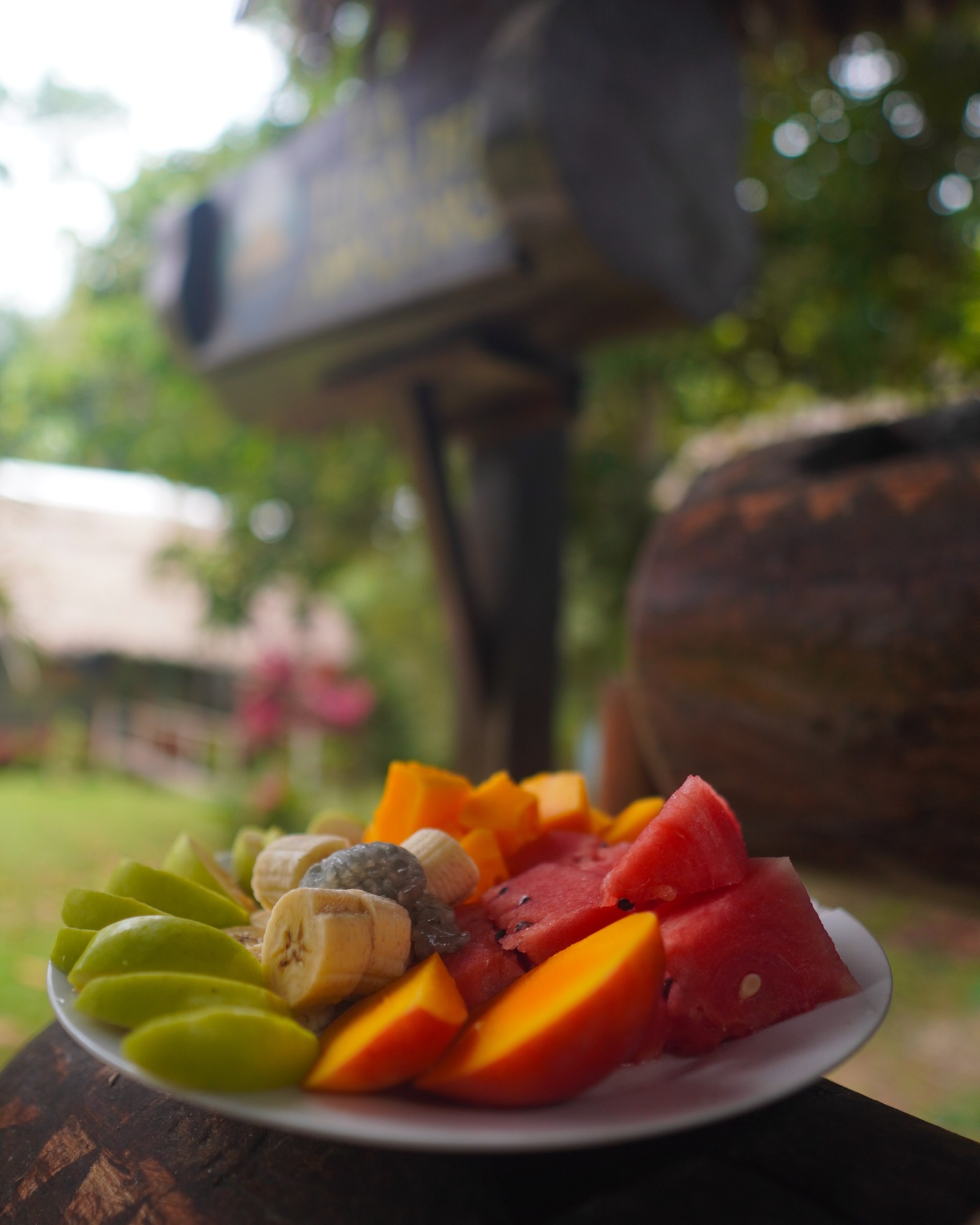 When the dieta is over, we get fruits :)
The shamanic dieta, also known as "dieta" in Spanish, is a traditional practice within indigenous Amazonian cultures, particularly among various indigenous tribes in Peru, Brazil, and other parts of the Amazon basin.
The dieta is a spiritual and healing practice that involves isolation, dietary restrictions, and the consumption of specific plants in order to establish a deep connection with the plant spirits and gain insight, healing, and knowledge. It's often used by traditional shamans or healers as a way to learn from the spirits of plants and to receive guidance, wisdom, and healing powers.
The process involves the following elements:
Isolation: During the dieta, the person undergoing the practice isolates themselves from the community and from distractions. This isolation is believed to create a more focused and receptive state of mind.
Dietary Restrictions: Dieta participants follow strict dietary guidelines, which often involve avoiding certain foods that are considered "impure" or incompatible with the plants they are working with. This might include abstaining from salt, sugar, oil, spices, and certain meats.
Plant Medicine: Central to the dieta is the consumption of specific plant medicines, which are chosen based on the shaman's guidance and the individual's intentions. These plants might include ayahuasca, tobacco, and other medicinal plants that are believed to have healing properties.
Observation and Meditation: During the dieta, participants spend a lot of time in meditation, reflection, and observation. The goal is to establish a deep connection with the plant spirits and to receive insights, visions, and guidance.
Dreams and Visions: Many participants report having vivid dreams and visions during the dieta. These experiences are often considered messages from the plant spirits and are used for guidance, healing, and self-discovery.
#amazonian #shamanism