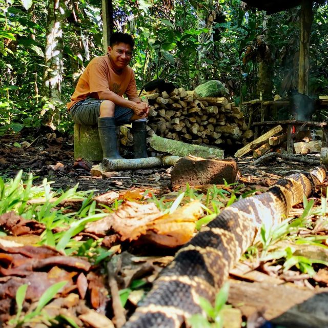 Don Jack, the youngest of the four shaman brothers, hails from a family steeped in the traditions of healing. Growing up under the guidance of his older brothers, and their godfather, Don Benigno, Don Jack has inherited a wealth of knowledge and wisdom in the ways of the shamanic arts.
Despite his youth, Don Jack’s icaros are both sweet and powerful, showcasing his deep connection to the spirit world and his mastery of the sacred medicine. When he begins his distinctive whistle during ceremonies, there is no doubt that he is a true member of this remarkable lineage of healers.
Don Jack’s humble and open demeanor belies his immense skill and dedication to his craft. He is a living embodiment of the ancient traditions that have been passed down through generations, and his presence at our center is a testament to the enduring power of the shamanic path. #ayahuasca #shamanism