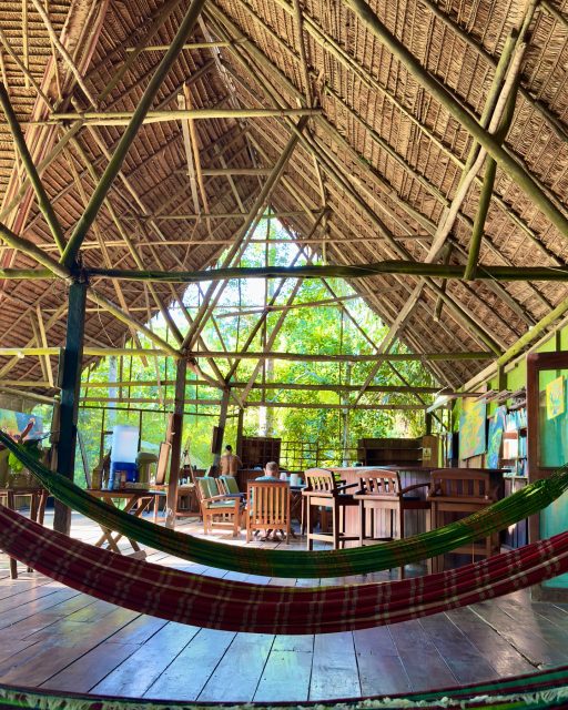 Ayahuasca has been described as a catalyst for positive change, inspiring individuals to break free from self-destructive patterns and limiting beliefs. By illuminating the underlying causes of these behaviors and beliefs, ayahuasca enables people to reframe their perspective and make necessary changes in their lives. This can lead to profound shifts in relationships, career choices, and overall life satisfaction.
#ayahuasca #shamanism