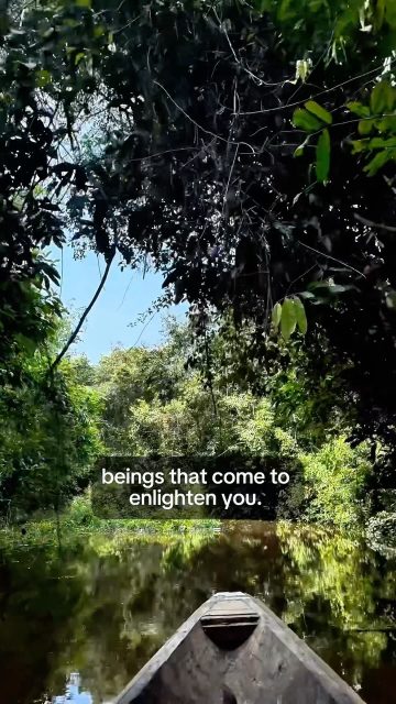 Spiritual beings..,
#ayahuasca #shamanism #lalunadelamazonas