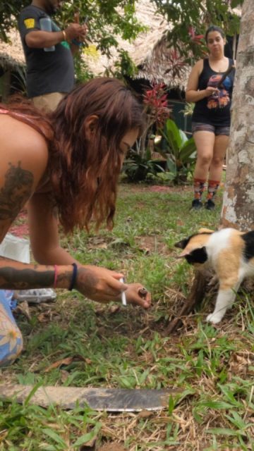 Natalia and Luna-Lisa took us out to to plant some baby ayahuasca vines. 🌱🙏❤️
#ayahuasca