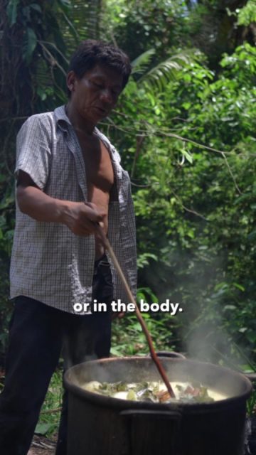 Don Leonardo talks shortly about Ayahuasca.
#ayahuasca #shamanism #lalunadelamazonas