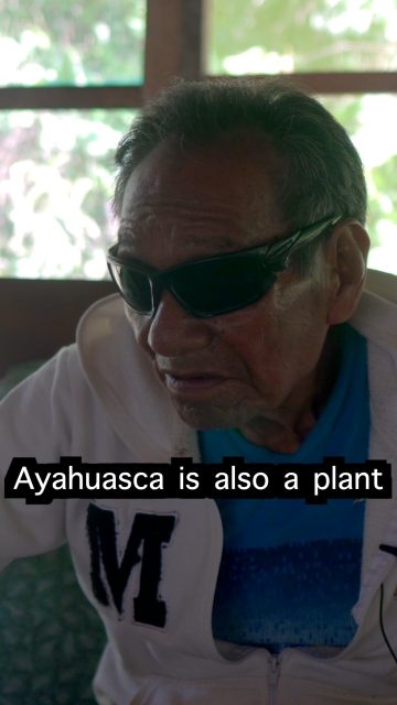 Don Benigno about Ayahuasca and family problems.
#ayahuasca #shamanism #lalunadelamazonas