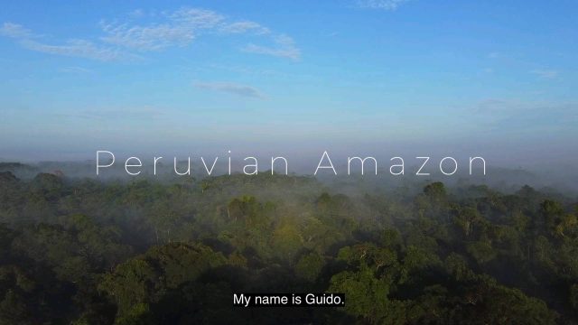 Meet our family: Don Guido
#ayahuasca #shamanism #lalunadelamazonas