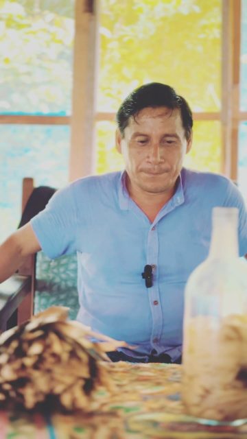 Some spiritual traditions prohibit the consumption of pork meat for various reasons, often rooted in cultural, historical, and religious beliefs. 
1. In Judaism and Islam, pork is considered unclean or impure due to the pig’s perceived uncleanliness, as they are omnivores that consume almost anything.
2. In Hinduism, the pig is believed to be a reincarnation of a human soul and therefore, consuming pork is considered disrespectful and unholy.
3. In certain African spiritual practices, pigs are associated with negative energies or spirits, and consuming pork is thought to invite these energies into one’s life.
In this video Don Guido explains why we can’t eat pork when we do Ayahuasca. #ayahuasca #shamanism