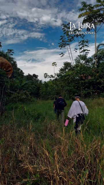 That’s how it is in the Amazon: a remedy for every ailment, a cure for every pain.
#ayahuasca #shamanism #lalunadelamazonas
