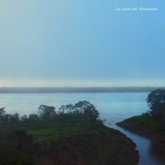 ❤️🌱🐬
#ayahuasca #icaros