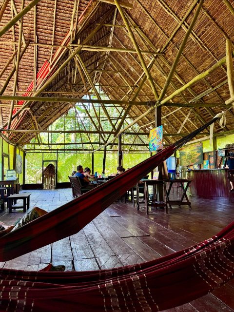 The main house, where the ceremony continues in every conversation.
#ayahuasca #shamanism #lalunadelamazonas