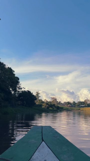 Jungle magic 🌱❤️🙏🌙
#amazonian #shamanism #lalunadelamazonas