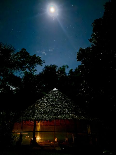 Under the moonlight 🙏❤️🌙
#lalunadelamazonas