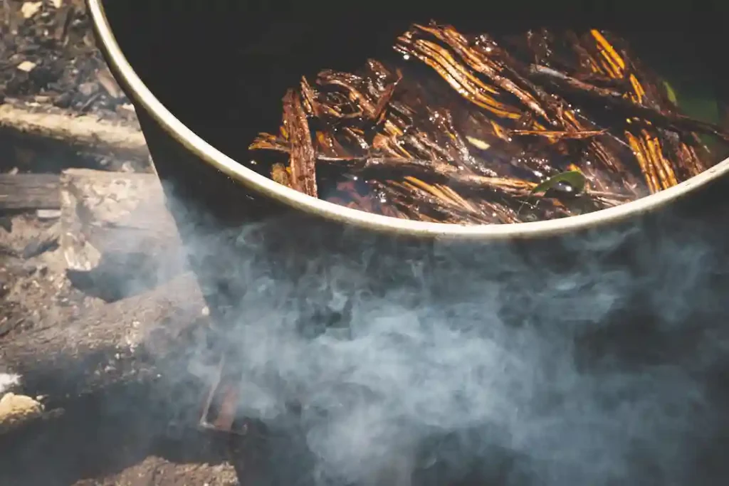 Ayahuasca is brewing